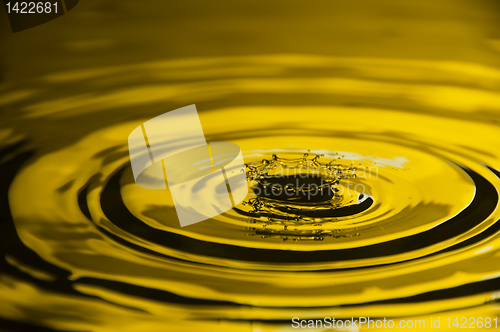 Image of Water Droplet