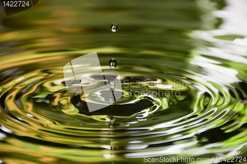 Image of Water Droplet