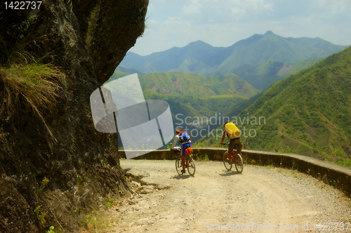 Image of Mountain Bikers