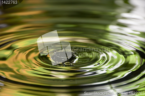 Image of Water Droplet