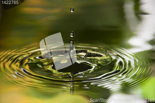 Image of Water Droplet