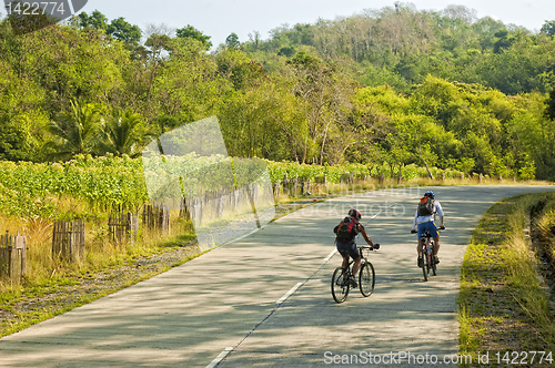 Image of Mountain Bike Adventure