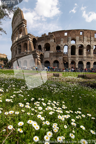 Image of Flowers and Colosseum