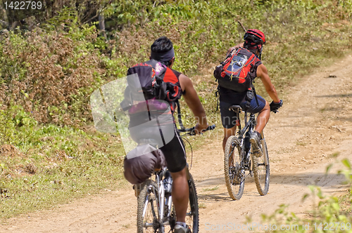 Image of Mountain Bike Adventure