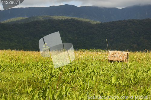 Image of Dumagat Hut