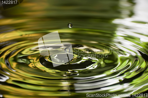 Image of Water Droplet