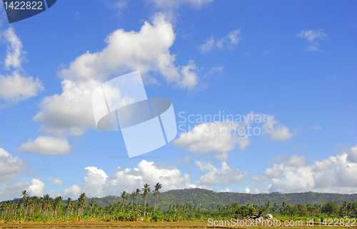 Image of Clouds