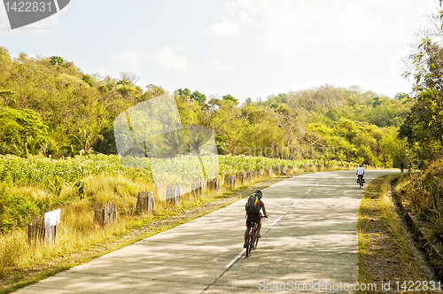 Image of Mountain Bike Adventure