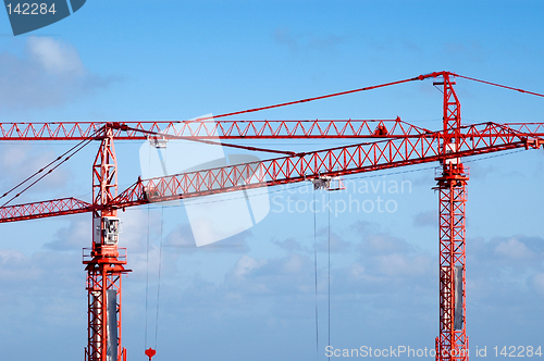 Image of two cranes