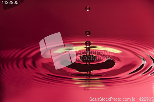 Image of Water Droplet