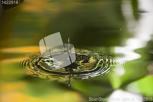 Image of Water Droplet