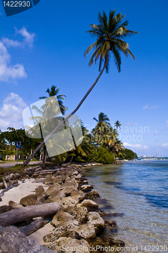 Image of San Andres Island , Colombia