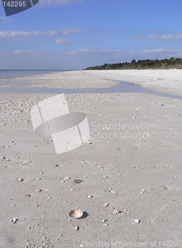 Image of Beautiful sandy beach in Florida USA