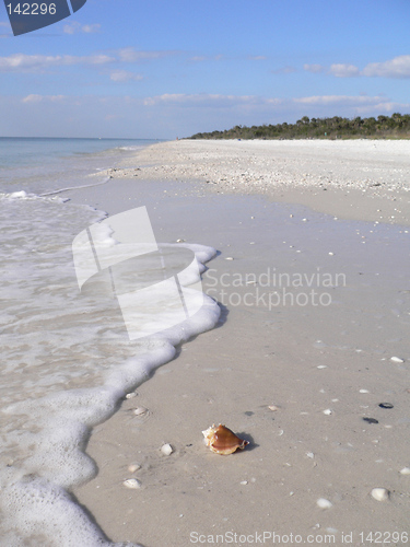 Image of Beautiful sandy beach in Florida USA