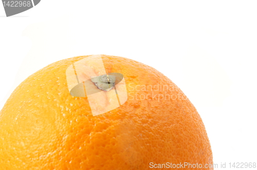 Image of orange fruit