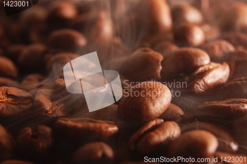 Image of roasting coffee