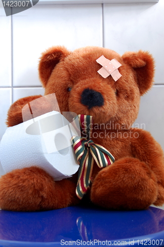 Image of toy teddy bear on wc toilet