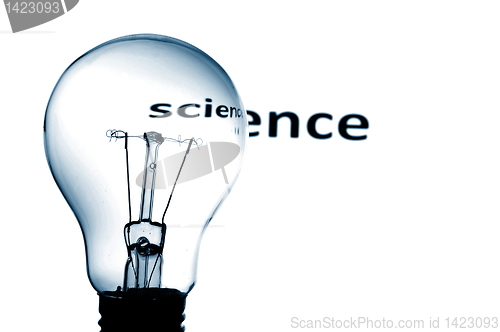 Image of bulb