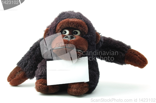 Image of isolated teddy with blank sheet