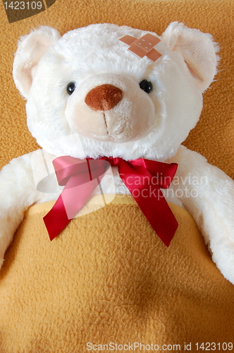 Image of sick teddy