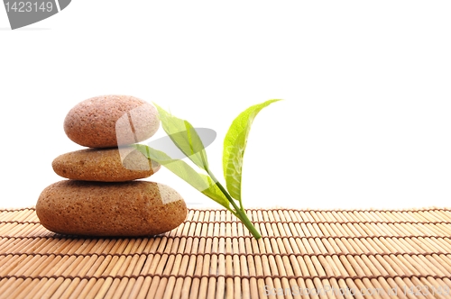Image of zen