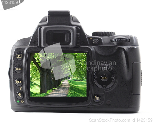 Image of landscape on cam display