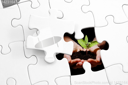 Image of puzzle and plant