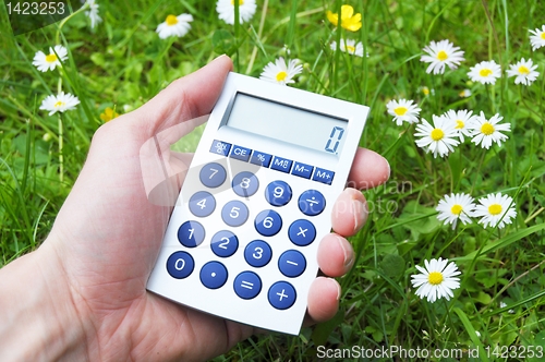Image of ecological accounting