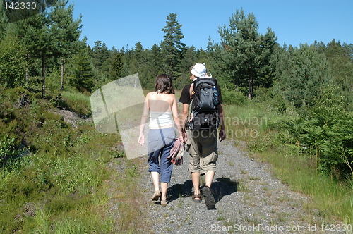 Image of walking in the wood