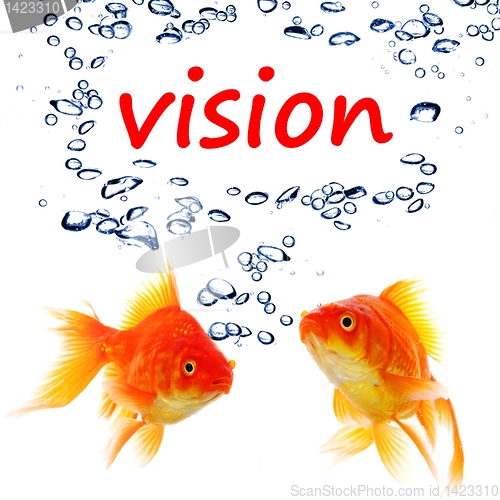 Image of vision