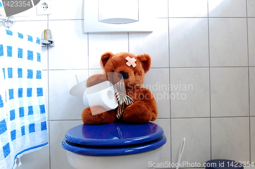 Image of toy teddy bear on wc toilet