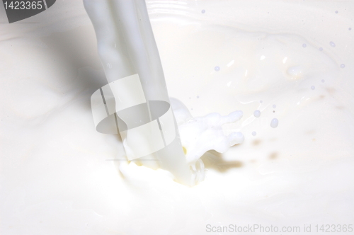 Image of splashing milk