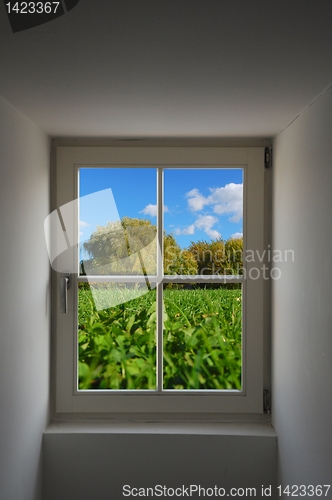 Image of window and nature