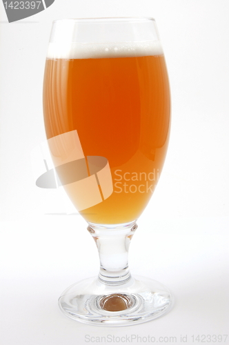 Image of glass of beer