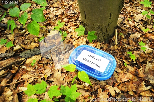 Image of geocaching