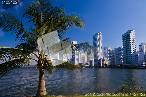 Image of Boca grande - Cartagena de Indias