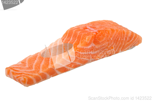 Image of piece of salmon fillet