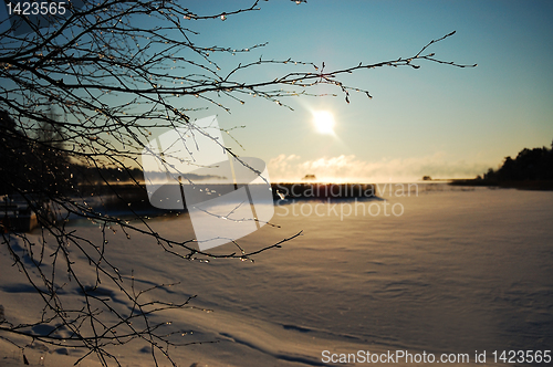 Image of Sunny winter landscape