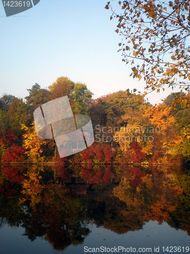 Image of Autumn