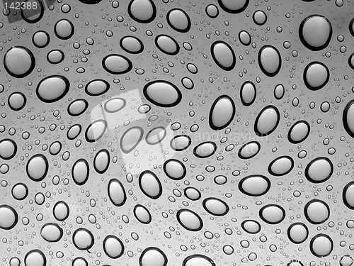 Image of Water Drops