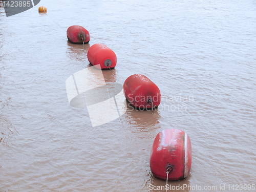 Image of Life buoy in water