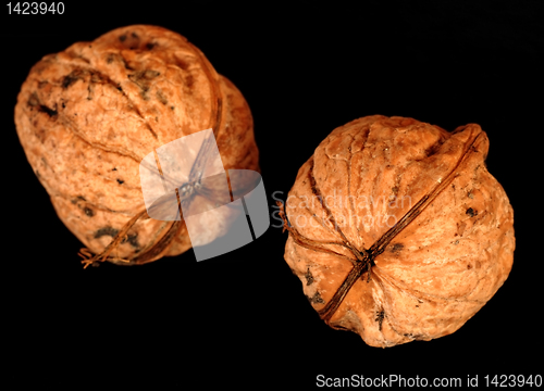 Image of Walnuts