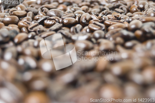 Image of Coffee Beans