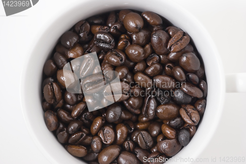 Image of Coffee Beans