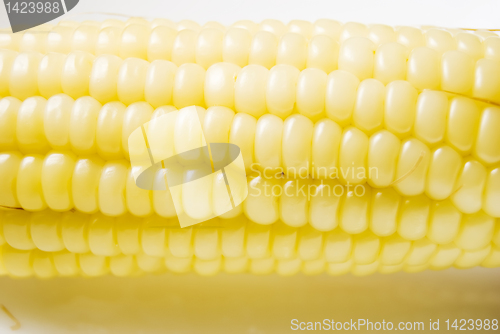 Image of Corn Cob