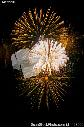 Image of Fireworks