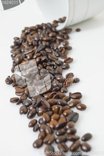 Image of Coffee Beans