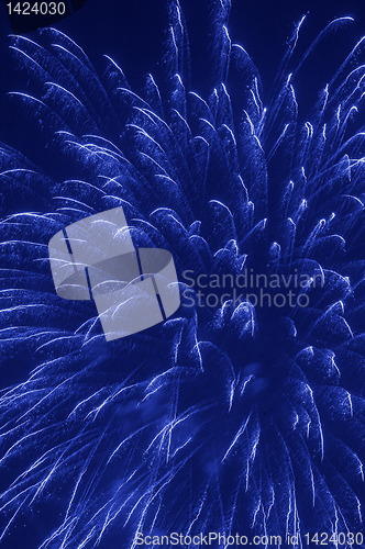 Image of Fireworks