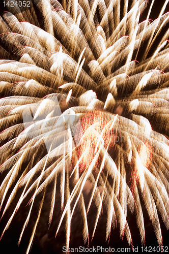 Image of Fireworks