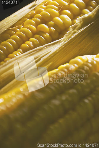 Image of Corn